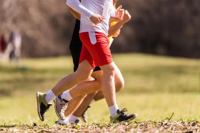 97946711_L-2.webp 97946711_L-2.webp
